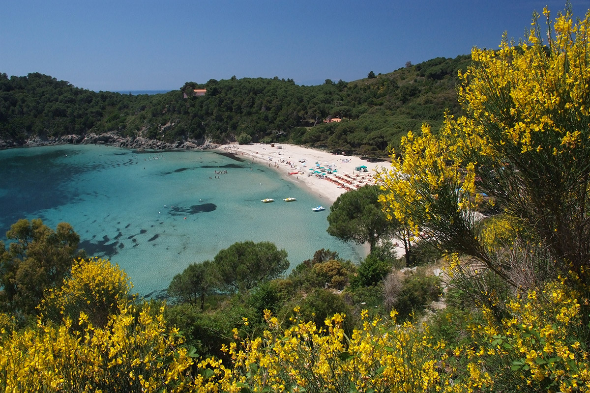 Isola d'Elba - La Spiaggia di Fetovaia